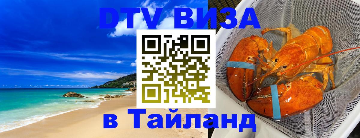 Оформление DTV визы под ключ: стоимость и тарифы, только загранпаспорт - Рубцовск  19.11.2025 